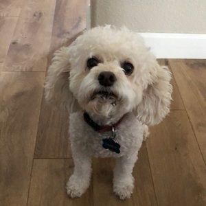 Meet your Posher, Jenny